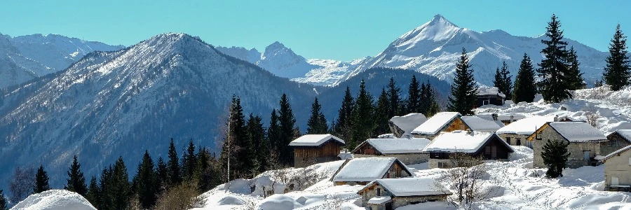 Welcome to BIIBII.CN