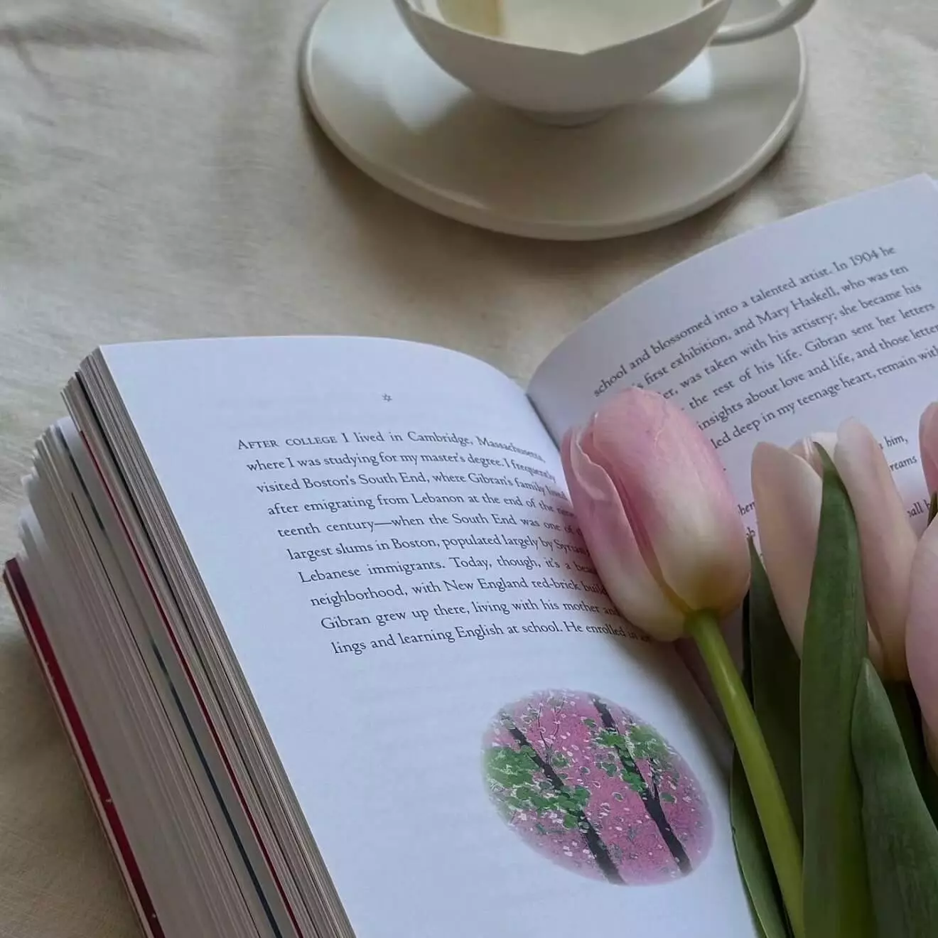 P1分数与小数互换